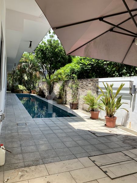 4 Bed Semi-Detached House (Landed) for Rent in  Mount Sinai Lane - Image 10